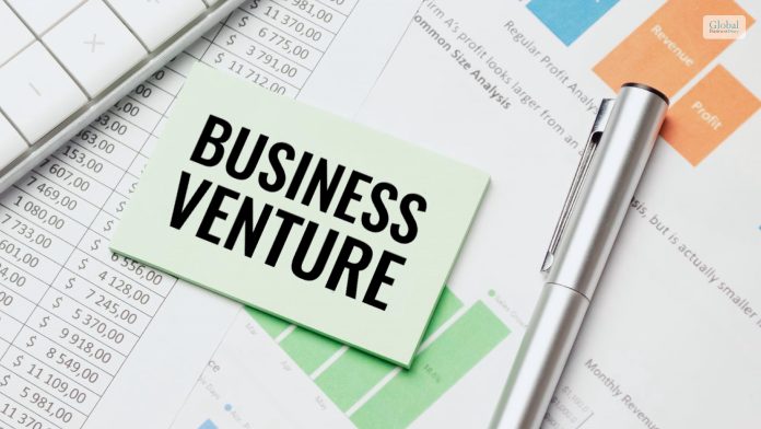 business venture definition